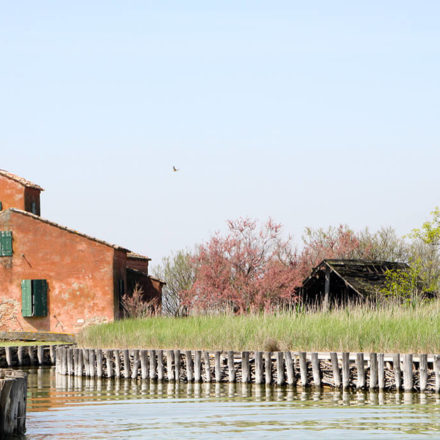 Parco Delta del Po