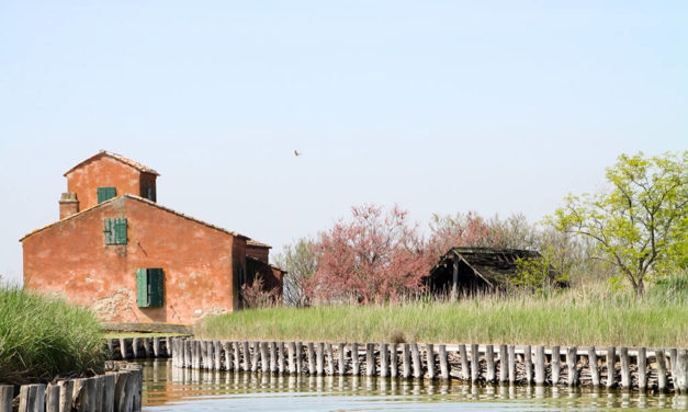 Parco Delta del Po
