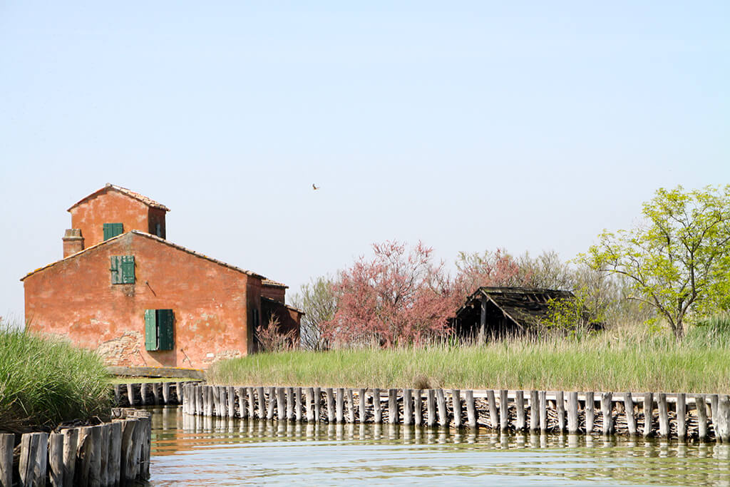 Parco Delta del Po