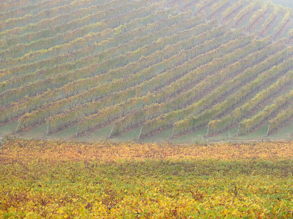 Langhe