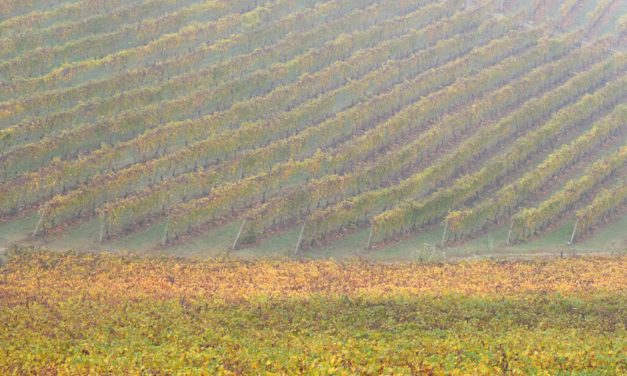 Langhe