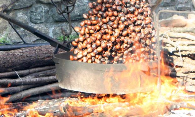 Sagra del marrone