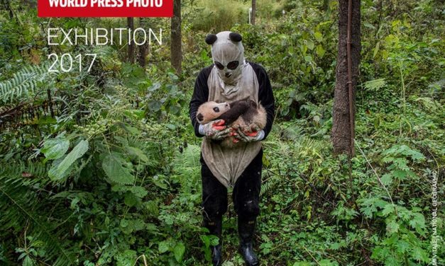 World Press Photo 17